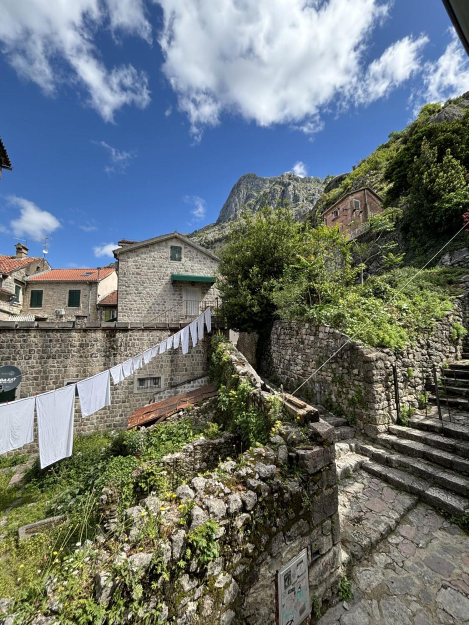 Kazin Supreme Kotor Quarto foto